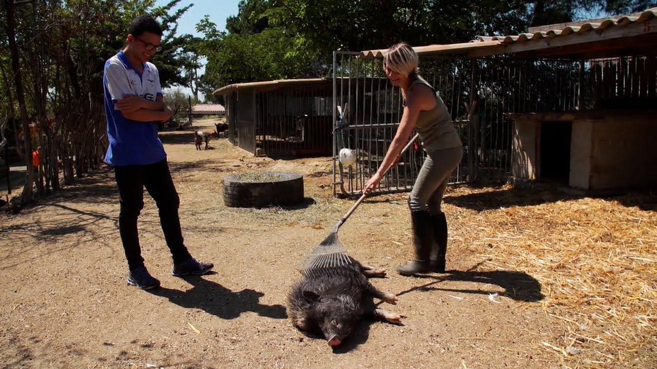 La SPA la plus dingue de France