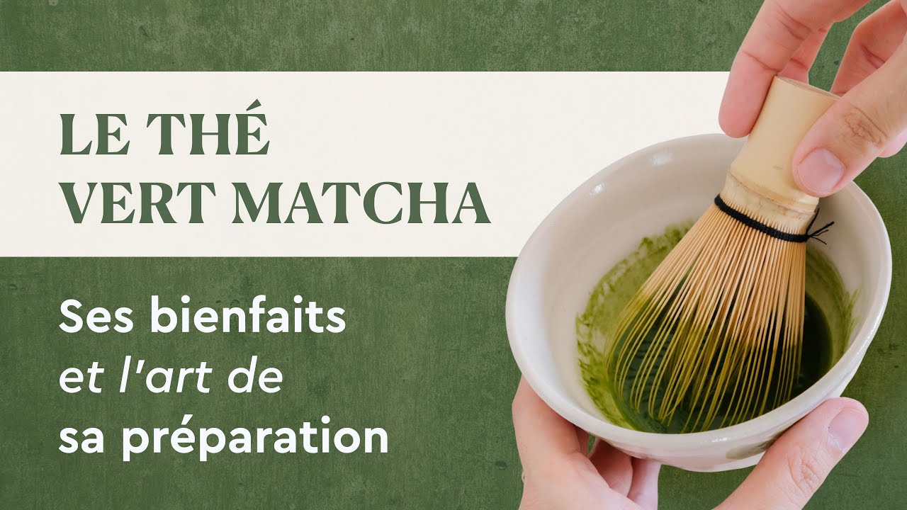 Tout savoir sur le Matcha : Bienfaits, contre-indications et préparation (Guide complet)