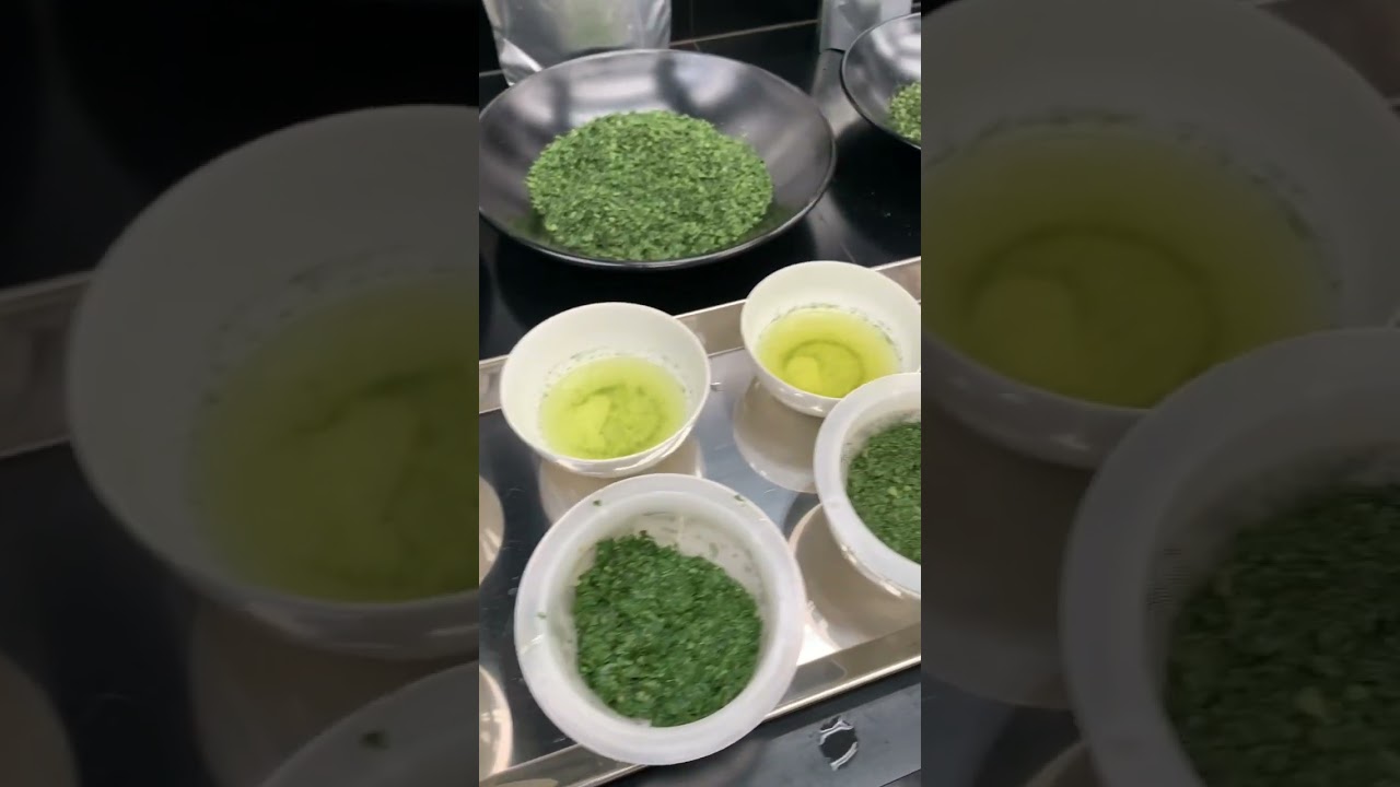 Voyage au Japon 🇯🇵 dans l'univers du Thé Matcha 🍵