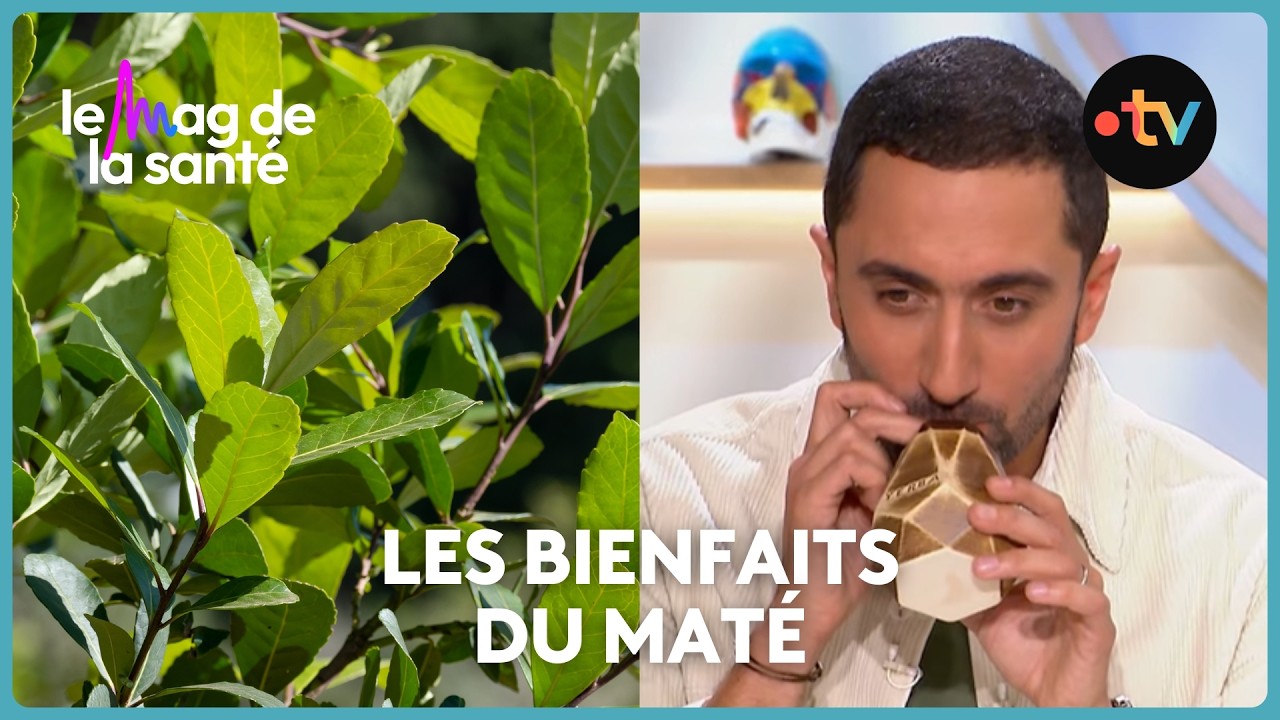 Le maté est-il une bonne alternative au café ?