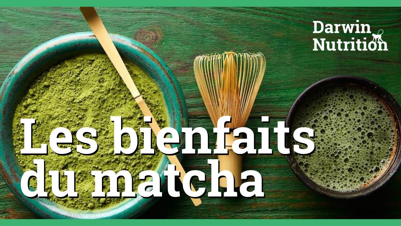 Découvrez tous les bienfaits du matcha