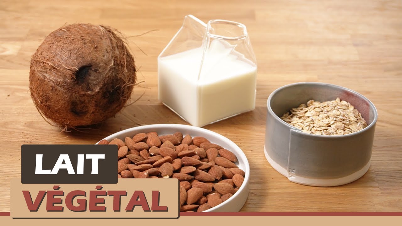 🥛🌱 Faites votre lait végétal maison : Amande, avoine, coco… toutes nos astuces !
