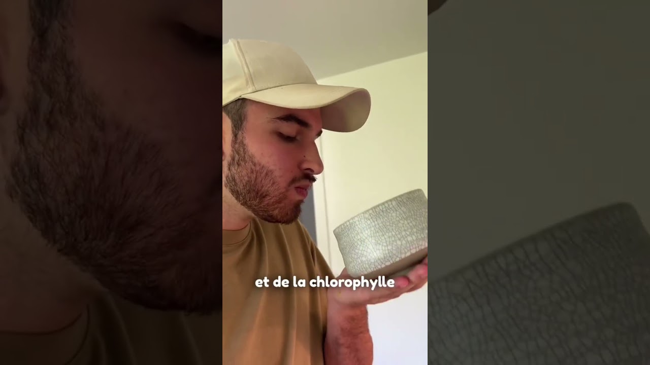 Réponse à le thé matcha est différent que le thé vert ? #matcha #matchaetvous #matchalatte