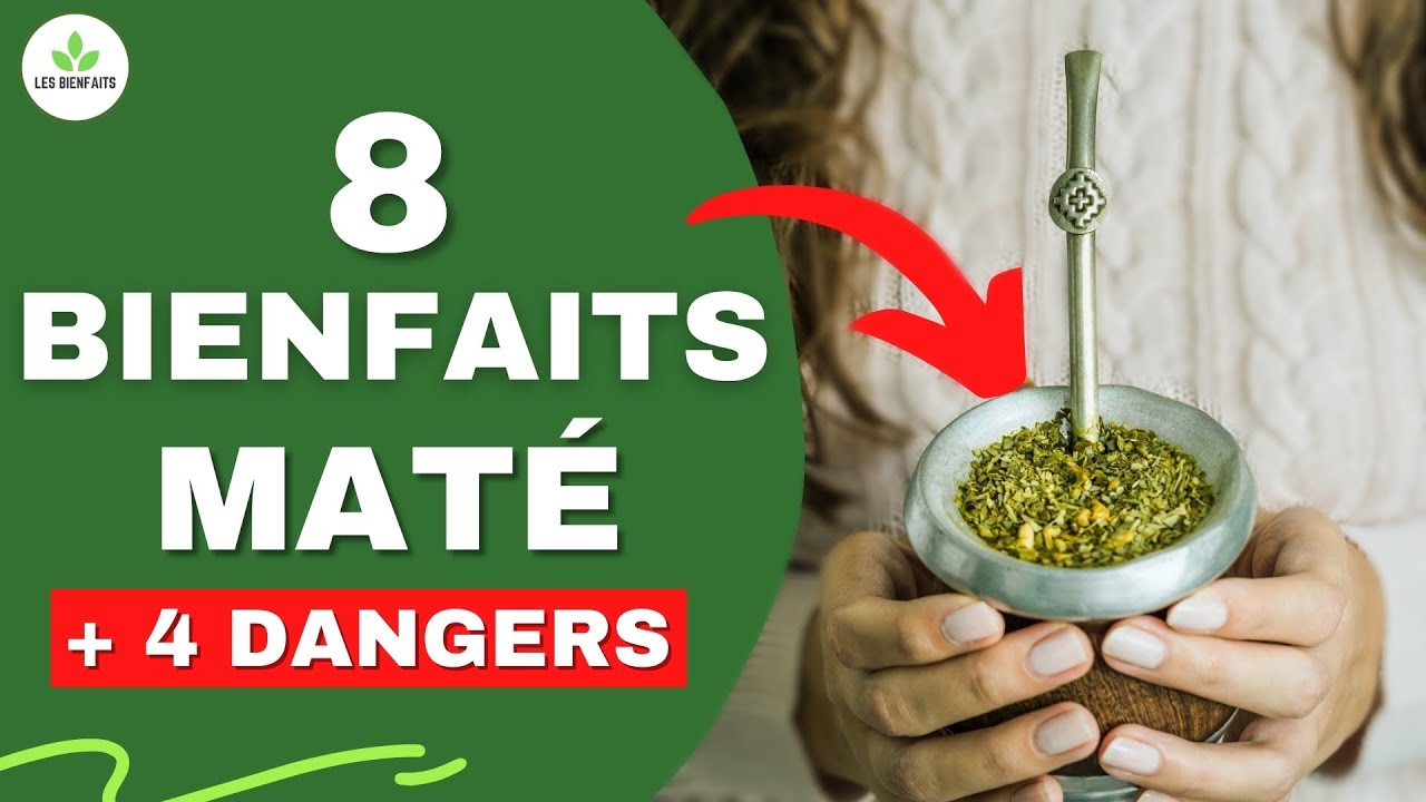 MATÉ : TOUT SAVOIR SUR LA YERBA MATÉ (BIENFAITS ET DANGERS POUR LA SANTÉ)
