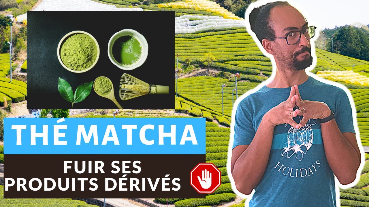 LE THÉ MATCHA : UNE MERVEILLE POUR LA SANTÉ, MAIS IL FAUT FUIR SES DÉRIVÉS !